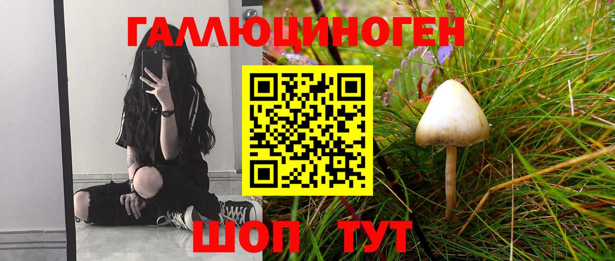 Дивногорск  Псилоцибиновые грибы MAGIC MUSHROOMS  Вход с VPN  Псилоцибиновые грибы GOLDEN TEACHER 